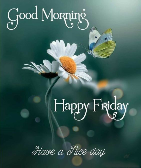 KiltyAlan's tweet photo. @kirkura17 Goood Friday Morning Kirk. Woo-Hoo The Weekend Is Soo Very Close 👍 I Hope You Have A Fantastic Friday My Dear Friend. Stay Safe And Take Care Of Yourself 🙏 Be Your Awesome Self ♥️ Be Happy 😀 And Keep Smiling 😊 Much Love 💖To You 🫶💞🤗💞🌈🫶 https://t.co/UVlucRYqLZ