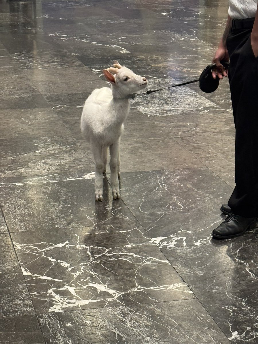 skyferrori's tweet photo. ADDISON RAE???? https://t.co/rsbUgmD3zc
