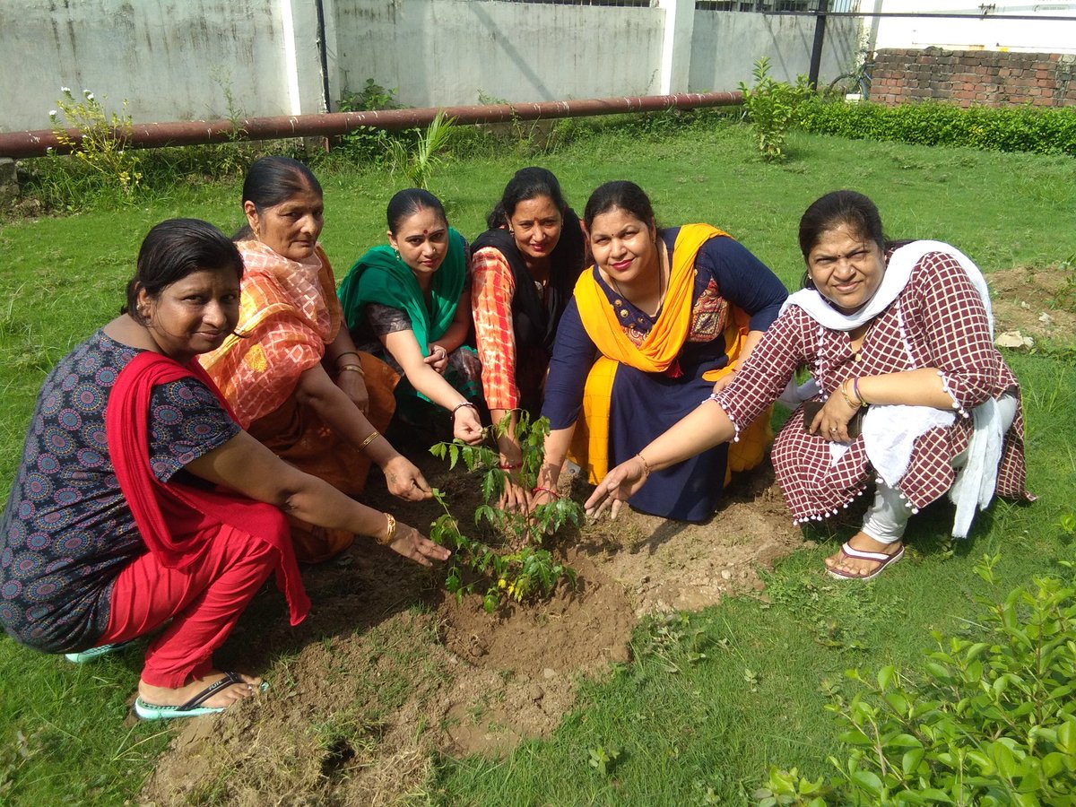 RubyAggarwal9's tweet photo. आने वाली पीढ़ियों के लिए हम सभी ज्यादा से ज्यादा पेड पौधे लगाकर धरती को हराभरा, स्वच्छ और सुरक्षित बनाने में अपना योगदान दें।
#WorldEnvironmentDay
#WorldEnvironmentDay2026

Saint Gurmeet Ram Rahim Ji https://t.co/ZkG3w1irsy