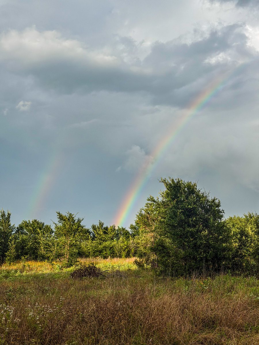 tonytewitty's tweet photo. Rainbows today https://t.co/aMYkj4jx11
