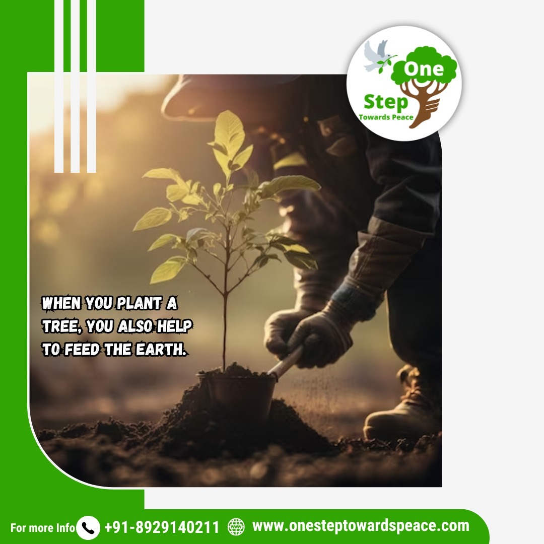 1step2peace's tweet photo. When you plant a tree, you also help to feed the earth.

Contact us at : 8929140211
Our official Website:- https://t.co/sFbQnSKrlu

#ostp #savenature #saveplanetearth #saveearth #savetrees  #saveNaturesaveLife #climate #earth #environment  #plantsmakepeoplehappy #plants https://t.co/SqNlbnXBBb