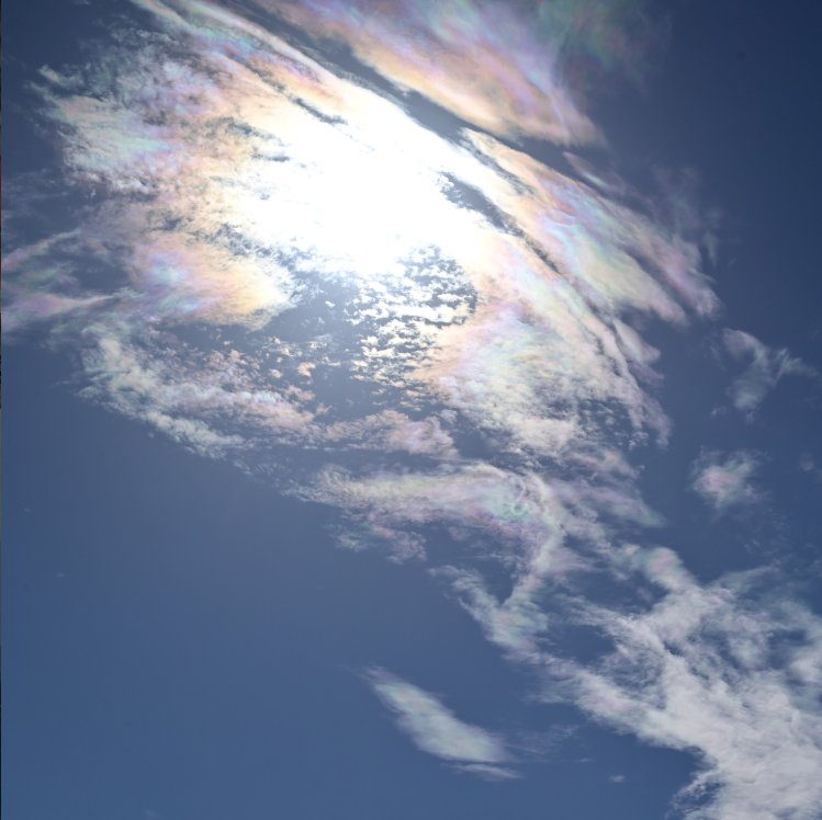 ask2009_09's tweet photo. 彩雲
何か良いことありますように… https://t.co/PhRBi3qqne