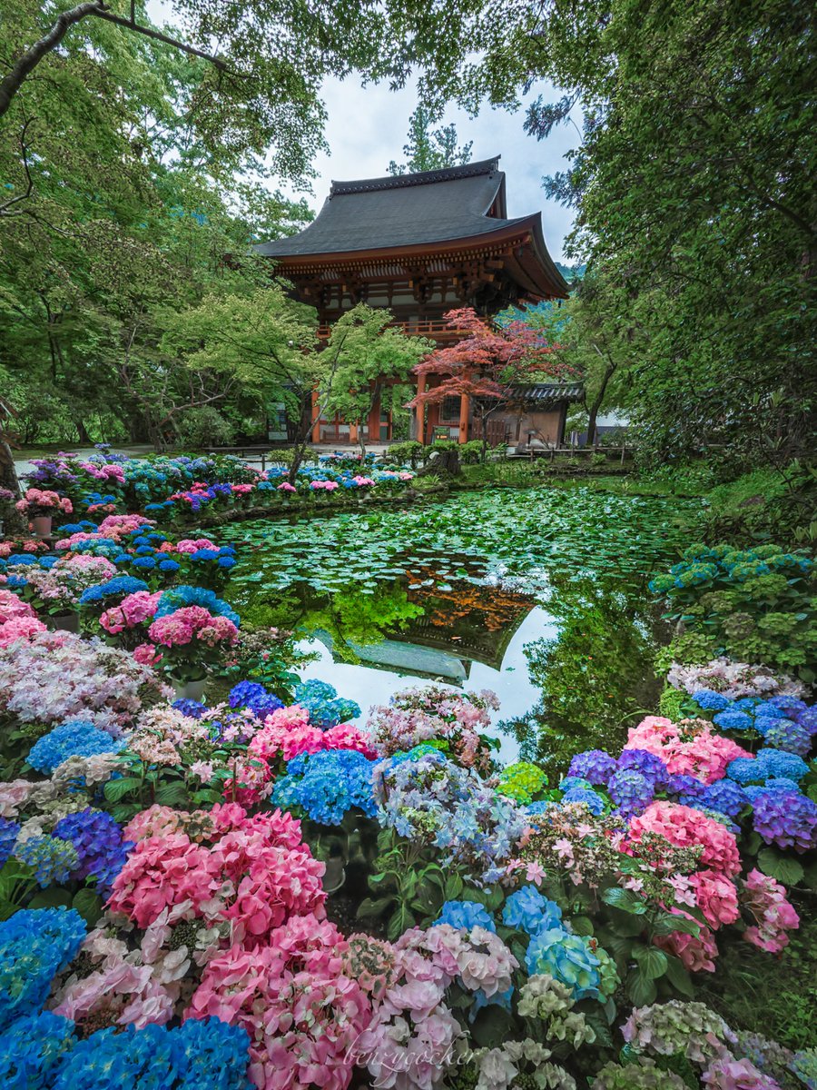 NARA JAPAN #奈良