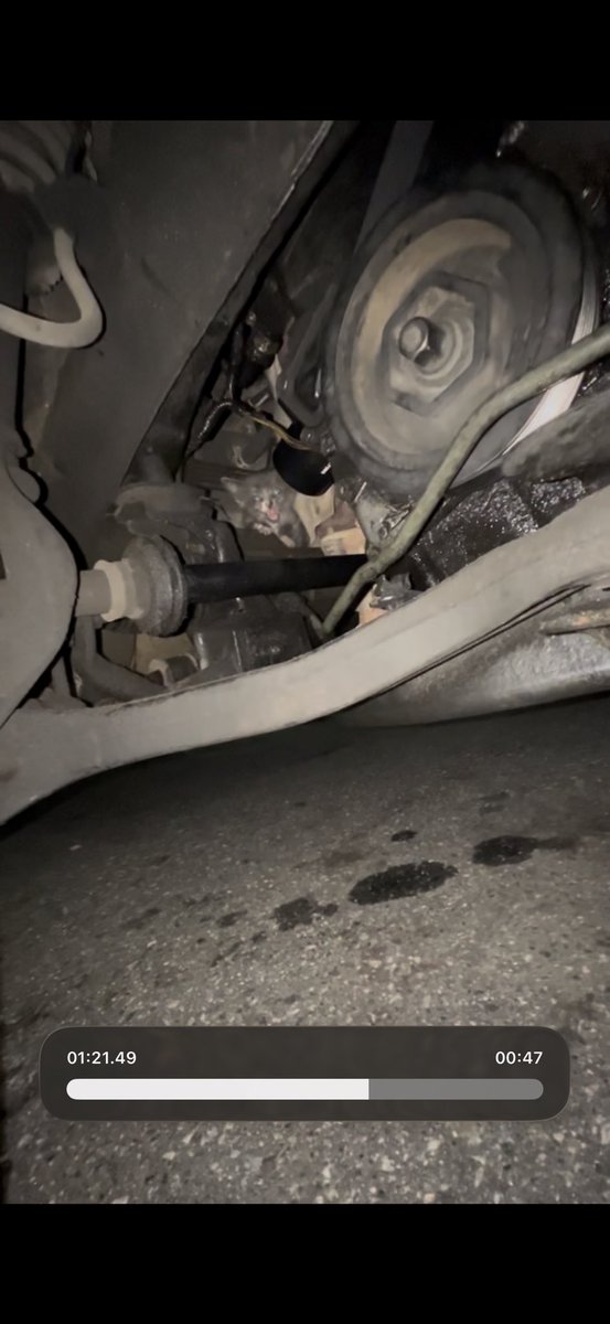 lvxemmaa's tweet photo. anyone else find a 4 week old kitten stuck inside someones abdanoned car motor in a grocery store parking lot at 10 pm? no? just me? oh ok. https://t.co/xlTf5n0rr9