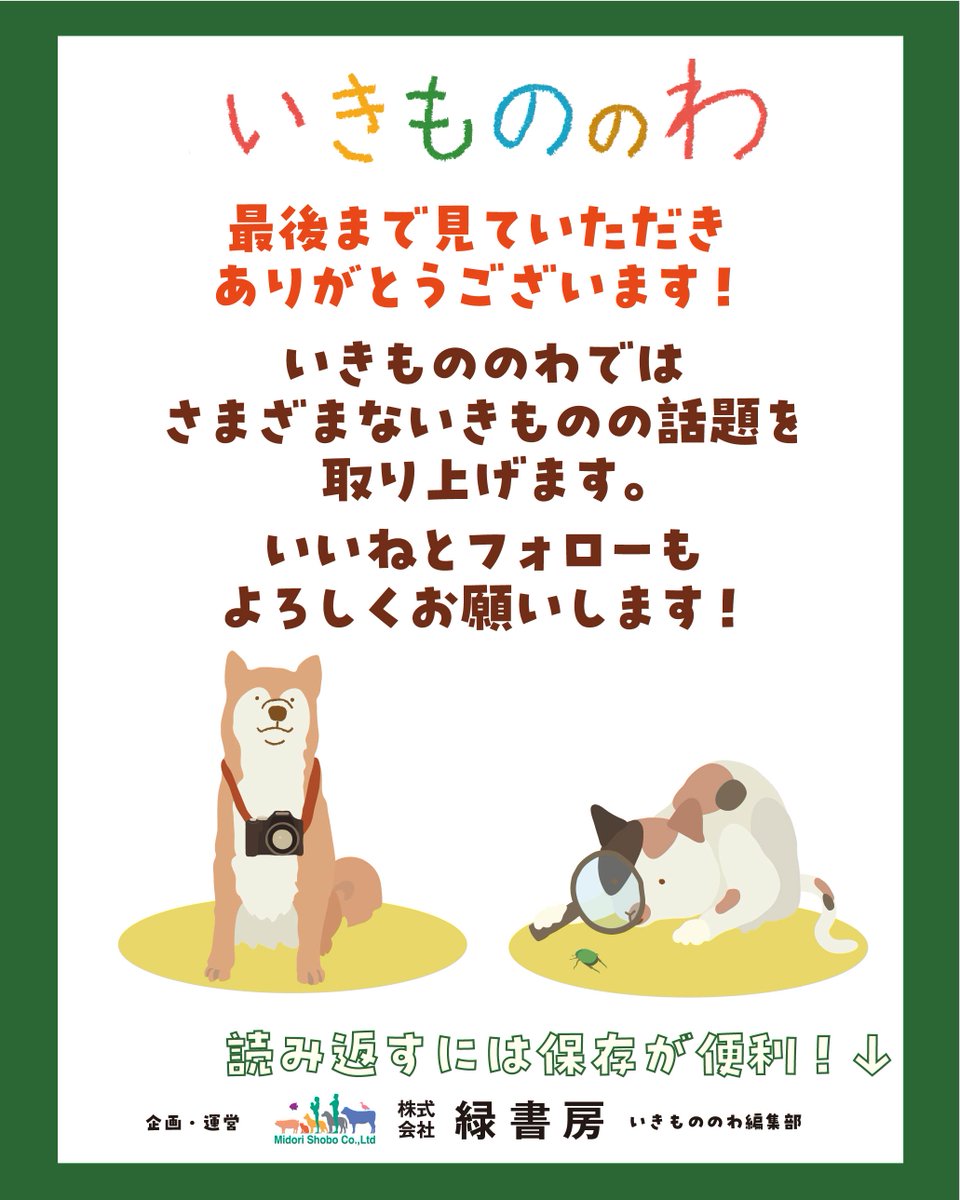 ikimono_no_wa's tweet photo. #いきもののわ 今日のおすすめ記事！
飼い鳥の家庭医学【第１回】飼い鳥の種類と飼育の基本
@bird_vet 

気になった方は、ぜひ記事をチェックしてみてください！
https://t.co/cMGZY1K6Wh

#とくしま鳥の病院 #鳥のいる生活 #飼い鳥の家庭医学 https://t.co/w0Fr6cr8w1