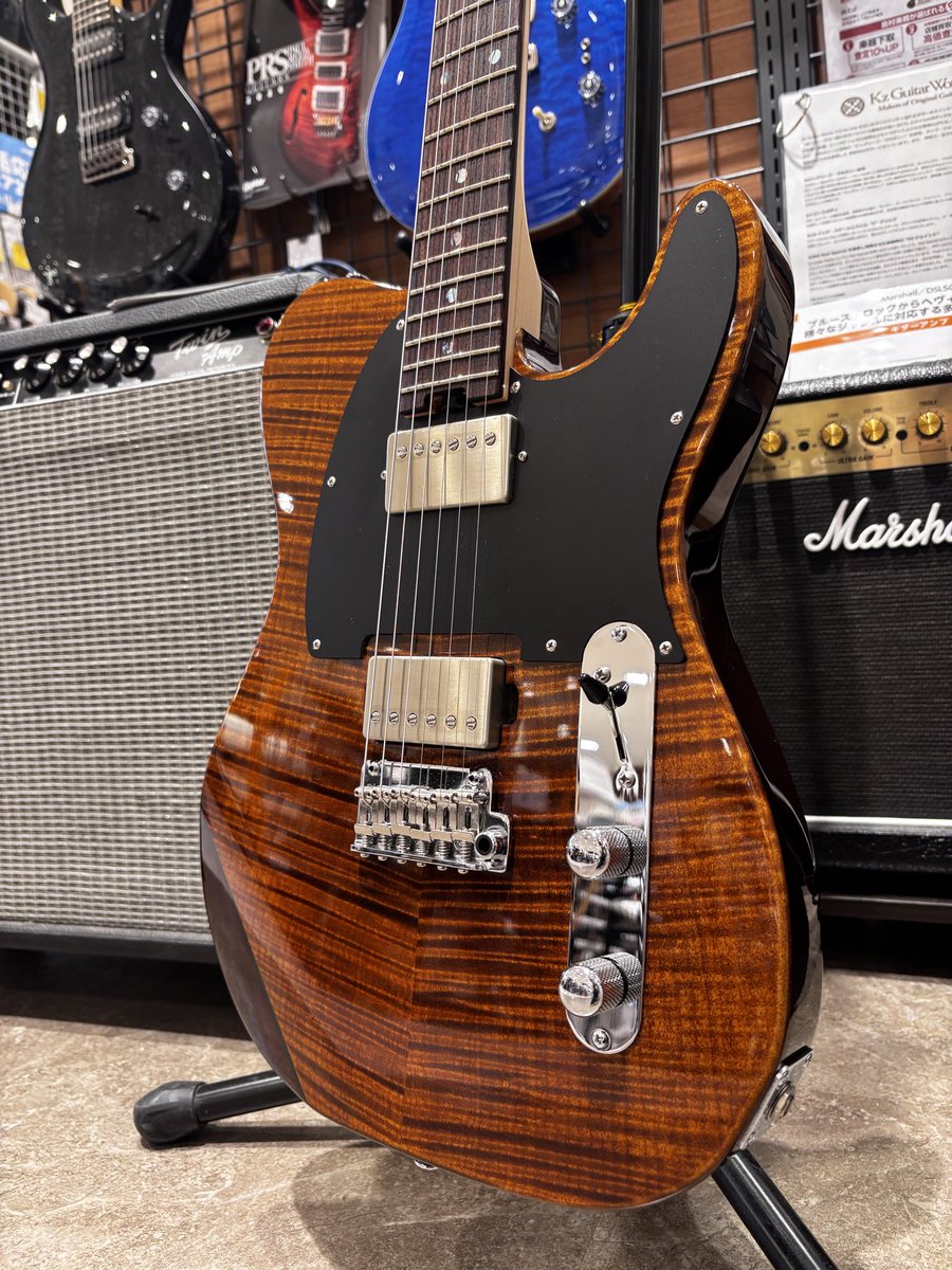 VOXで弾きたい‼️🐕‍🦺】 本日より 「Kz Guitar Works TL trad 22」 が