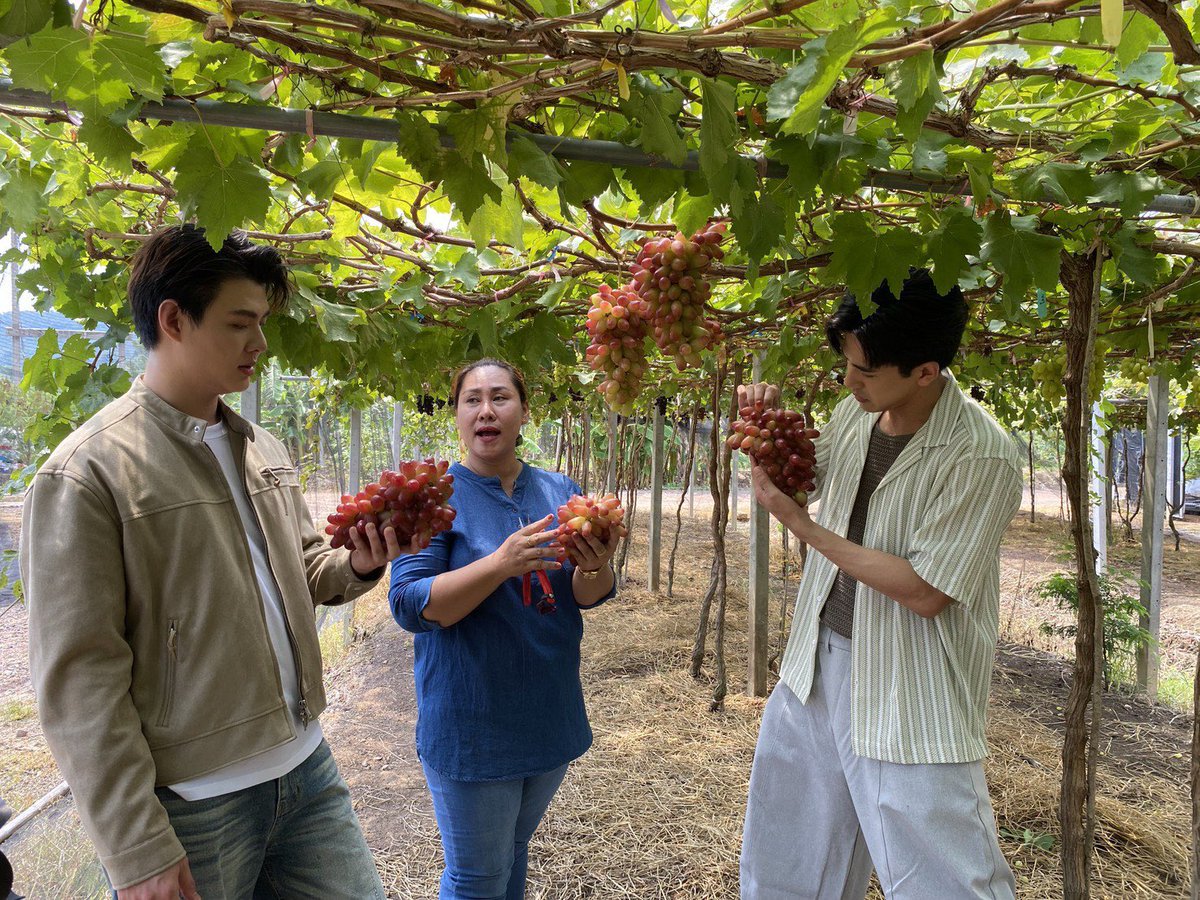 LKS4EVR's tweet photo. พรุ่งนี้ 2 ทุ่มที่ช่อง 9 จะได้เห็นเซ้นต์ซุปกับพี่เต้ยไปเก็บองุ่นด้วย น่าดูมากกกก รอเลยค่า 🥹🥹🥹 #Saint_sup https://t.co/XJLOAlXTsy
