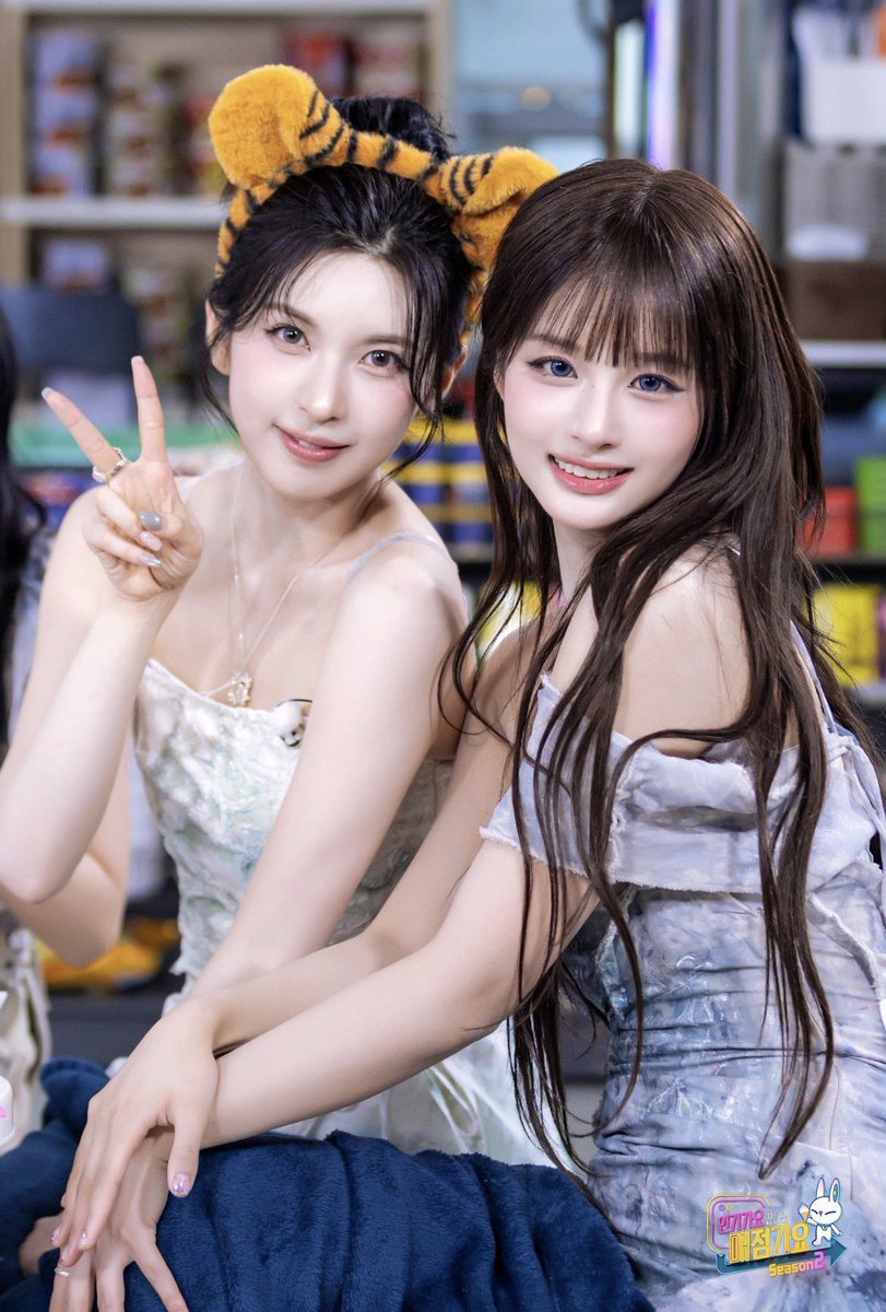 🦌/🐰🐥 tweet media