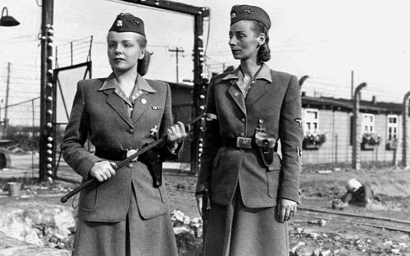 Droodog127's tweet photo. @lisamurkowski @SenatorCollins vile Nazi cows voted against the Save America Act 

DO NOT VOTE FOR collins or mukowski 

OR ANY incumbent gop senate scumbag https://t.co/TAbpHj394T