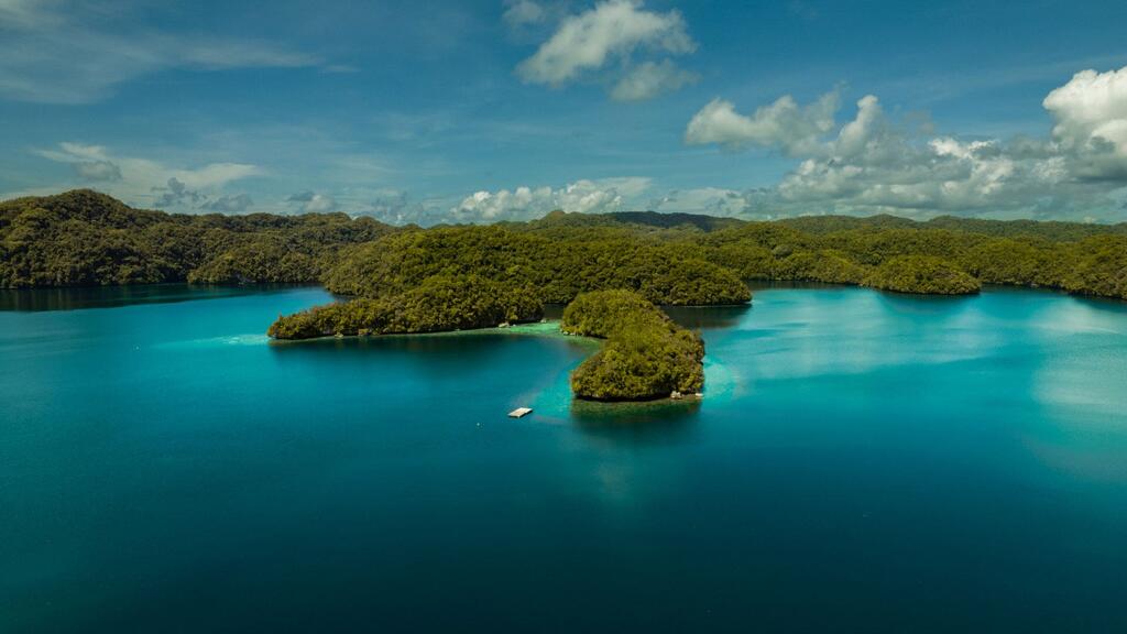 UNinMicronesia's tweet photo. 🌏🌊 World Environment Day Local Heroes Spotlight: the community in Palau building climate resilient disaster shelters 💪🏝️
Rising seas are changing lives, but action is rising too #NowForClimate 💪🌱 @UNEP @IOMNorthPacific
Read the full story: https://t.co/a6jZFvH3rb https://t.co/qfGOmA8M5m