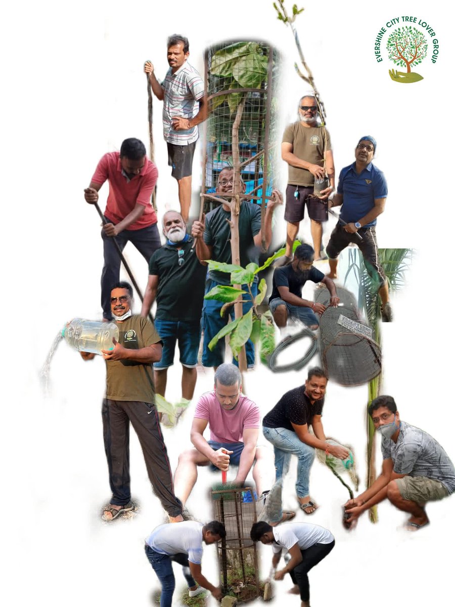EvershineTree's tweet photo. Happy #WorldEnvironmentDay https://t.co/Cy4AwCFd8W