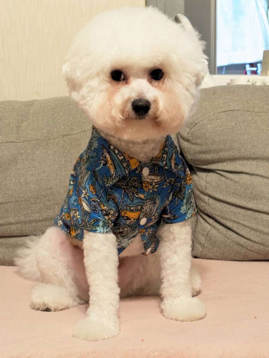 flat2101's tweet photo. @hina_libe1 https://t.co/4cEXQqNz1v