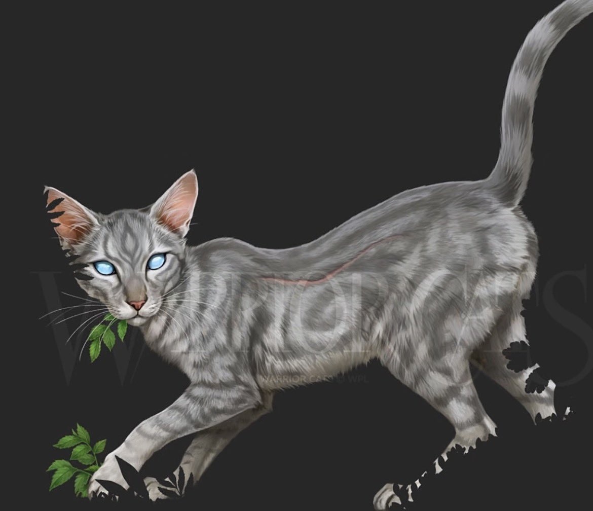 jayfeatherwc's tweet photo. is this why jayfeather got new art. they were just giving a dying dog chocolate https://t.co/o2CicQyNsi