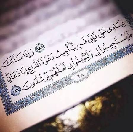 abuwallh's tweet photo. ﴿ إِنَّ اللَّهَ وَمَلَائِكَتَهُ يُصَلُّونَ عَلَى النَّبِيِّ يَا أَيُّهَا الَّذِينَ آَمَنُوا صَلُّوا عَلَيْهِ وَسَلِّمُوا تَسْلِيمًا ﴾.

    اللهم احفظ عُمان الغالية، وأسبغ عليها نعمك الظاهرة والباطنة، واجعلها دائمًا دار أمنٍ وسلامٍ وخير

#جمعة_طيبة
#صحار #عمان https://t.co/N6qERiME7v