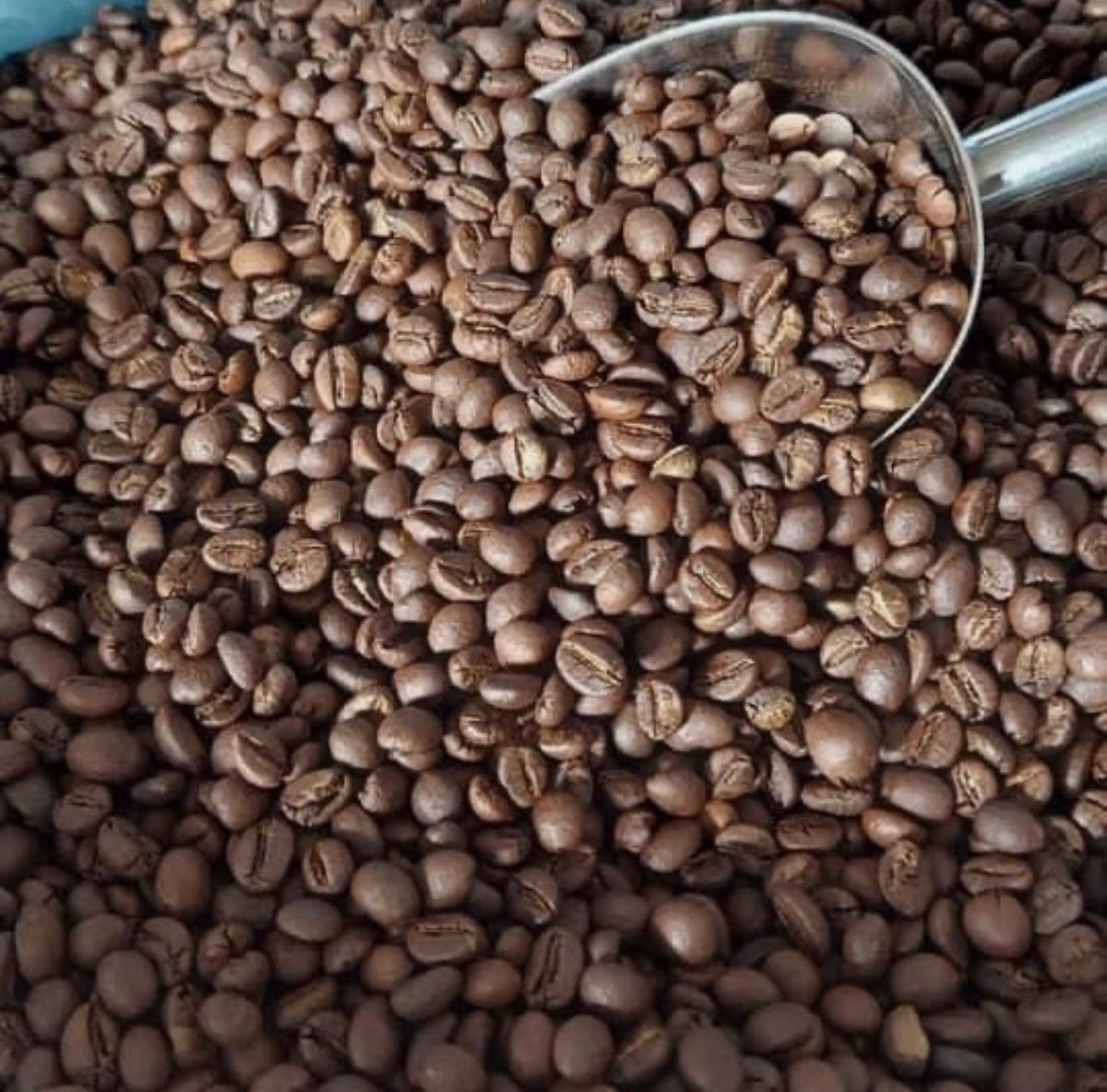 GKatabazi's tweet photo. Blend or not to Blend Coffee.

There a few reasons why  coffee companies will blend coffee. 

Usually, it’s correlated to the size of the business; the economies of scale it affords and the consistency at volumes it demands. Well I do acknowledge that some companies sit between or across some of the categories below to just take this as a general guide to the economies of their main blend rather than the business as a whole, old version yes let's promote single origins 👌🏼

#brewedbetter
