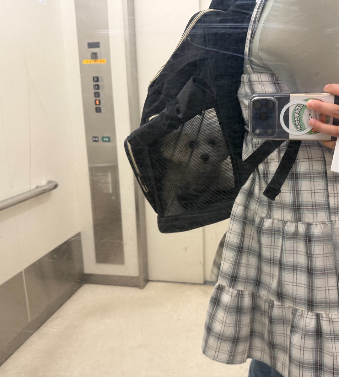 malpunta_'s tweet photo. トリミング前、不穏 https://t.co/uoAtjHzgIG