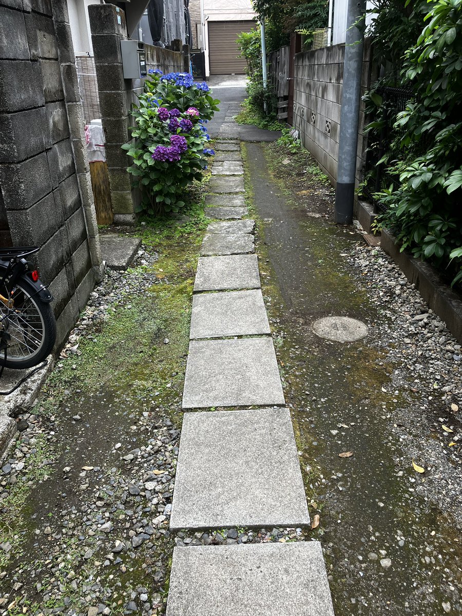 EkiQuest's tweet photo. 紫陽花は路地裏が似合うと思う次第。 https://t.co/28Hzg3NOem