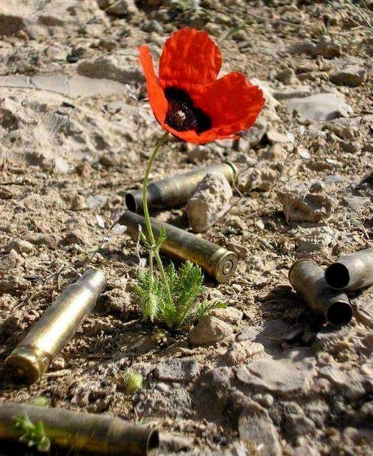 thyphoidjack's tweet photo. Lest We Forget
On 05 June 2026, let us pause to remember these young men from our Generation who answered the Sunset call.

05 Jun 1966: 05205786E Flight Sergeant Marthinus Jacobus Matthysen from 5 Squadron accidentally drowned while fishing in the Hartebeespoort Dam when his boat overturned, trapping him underneath. He was 25.

05 Jun 1978: 74385501BG Corporal Charles Benjamin de Villiers from 1 SAI was killed in a military vehicle accident when his Ratel AFV was accidentally rear-ended by another Ratel on the Bloemfontein to Bultfontein Road, causing his vehicle to overturn. He was 22.

05 Jun 1984: 82904772SWK Rifleman M. Sipipa from 202 Battalion SWATF was killed in Action during contact with SWAPO/PLAN Insurgents. He was 22.

05 Jun 1984: 72294887BT Rifleman Andries Christiaan Jacobs from Regiment Port Natal was killed in a military vehicle accident in Durban. He was 27.

05-Jun 1986: Seven members from 250 Air Defence Artillery Group, South African Air Force were killed in a gruesome private motor vehicle accident in the early hours of the morning while traveling between Pretoria and Hammanskraal. They were returning to the Unit from a weekend sports pass. The accident occurred 25 km from Hammanskraal. The casualties were:
82416025BG Corporal Michael Christopher Marx. He was 19.
82426867BG Airman Deon Phillipus Beukes. He was 19.
83511816BG Airman Grant Sinclaire Strange Braithwaite. He was 18.
83243725BG Airman Matthys Gideon Britz. He was 19.
82471970BG Airman Dawid Lindeque. He was 19.
82469602BG Airman Frans Cornelius Moolman. He was 19.
82230244BG Airman Marthinus Louis Nel. He was 19.

05 Jun 1987: Two members from Infantry School were killed in a private motor vehicle accident 8km from Vredefort while on weekend pass. They were:
84534254BG Rifleman Francois Nel. He was 18.
84408020BG Rifleman Pieter van der Linde. He was 18.

05 Jun 1991: 79011565PE Warrant Officer Class II Solomon Stephanus Barnard from the South African Ordnance Corps attached to 61 Base Workshop suffered a fatal heart attack at his home. He was 47.

05 Jun 1991: 90068867CC Rifleman Gerrit Douw from 1 Battalion Cape Corps Training Unit died in 1 Military Hospital after contracting malaria. He was 20.

05 Jun 1994: 91708065PE Rifleman Malefetsane Daniel Motete from 151 Battalion was killed in a military vehicle accident near Hobhouse. He was 25.

05 Jun 1998: 94837606 Rifleman M Mushiane from 7 SAI died of disease in the Phalaborwa Sickbay. He was 27.

05 Jun 1999: 86724390PE Lance Corporal Thibelo Jan Sekaja from 1 SAI was killed in a military accident at Ficksburg while driving under the influence of alcohol. He was 31.

05 Jun 2001: Two members from Group 9 were Reported Missing during Ops Pother after they were assaulted and abducted at Bhekizulu by persons unknown. Their remains were eventually found and recovered by members of the South African Police Service on 22 August 2001. The casualties were
94801941PE Corporal Magida. He was 33.
95706123PE Corporal Nocanda. He was 32.

† Their names and sacrifices have not been forgotten†
All posts Credit Col (rt) Graham du Toit.