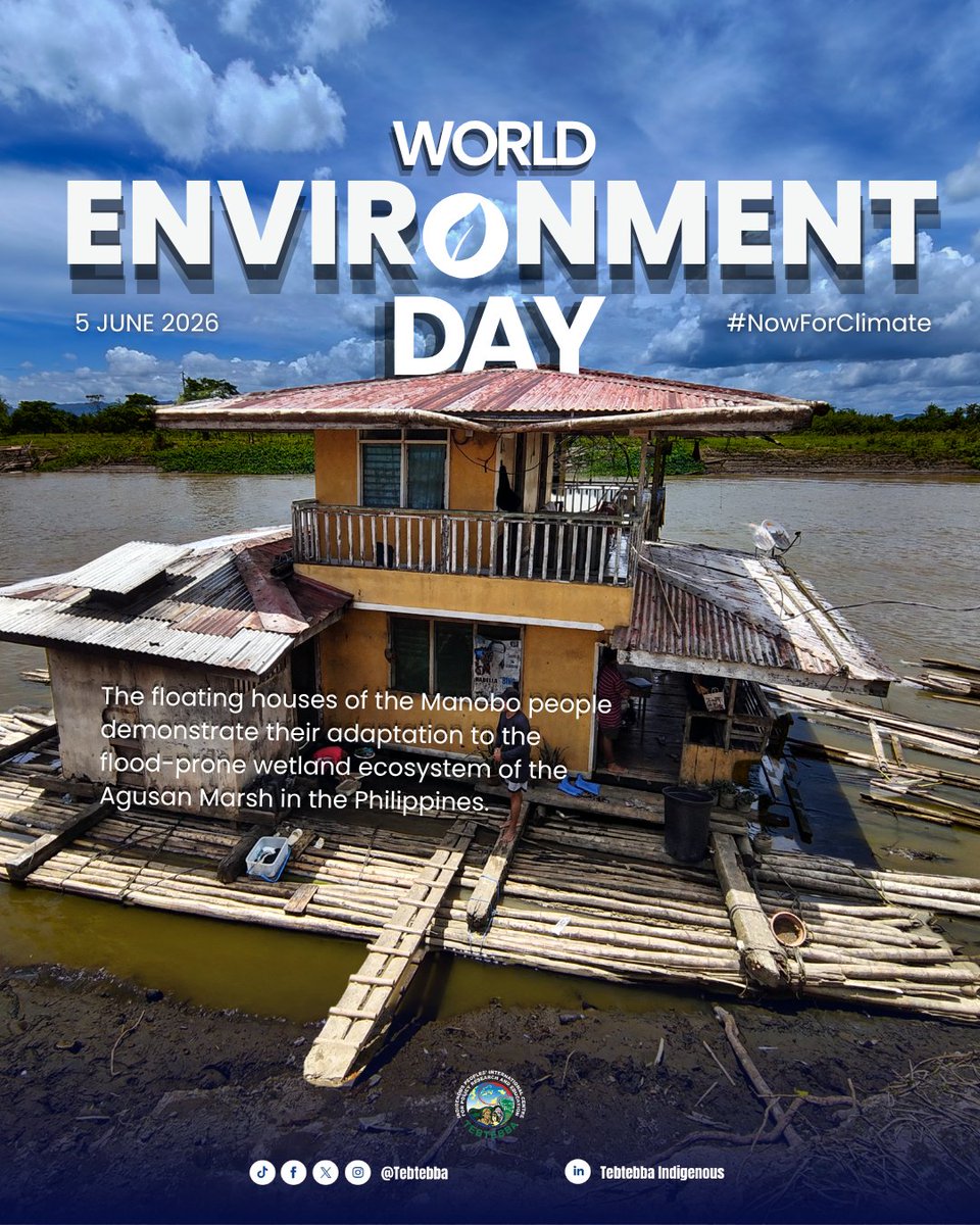 tebtebba's tweet photo. World Environment Day I June 5, 2026 

#IndigenousPeoples are demonstrating how Indigenous knowledge, customary governance, and collective action contribute to addressing climate impacts and strengthening community resilience. In the #Philippines, for example, the Teduray and Lambangian have Tulak healing rituals and community-led disaster response, the Manobo have traditional flood adaptation practices, the Balangao have ecological knowledge and the Tagbanua exercise stewardship of forests and almaciga trees within their ancestral lands.

Developed through generations of experience and continuous adaptation to changing environments, #Indigenousknowledge remains relevant to present and future climate challenges. #Climatejustice begins with recognizing and supporting Indigenous Peoples' rights, leadership, knowledge systems, and self-determined solutions.

This #WorldEnvironmentDay, let us recognize and support Indigenous Peoples’ local climate actions and environmental stewardship. Let us also acknowledge that while some practices help combat climate change and its intensifying effects, others are being undermined by a crisis they did not create or contribute to.

#WeAreIndigenous #NowForClimate