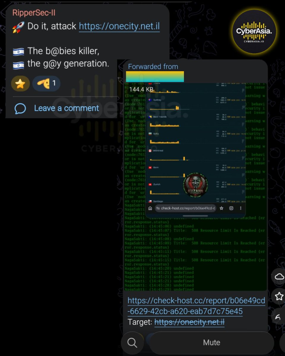 cyberasia_io's tweet photo. 🚨 Israel Alert 🇮🇱
Pro-Palestinian hacker group #RipperSec & #TheComrade's group has announced plans to launch a #cyberattack against https://t.co/ktUskRDyRx, a website based in #Israel
#Cybersecurity #DDoSAttack #IsraelUnderAttack https://t.co/8Vy4NB3XFj