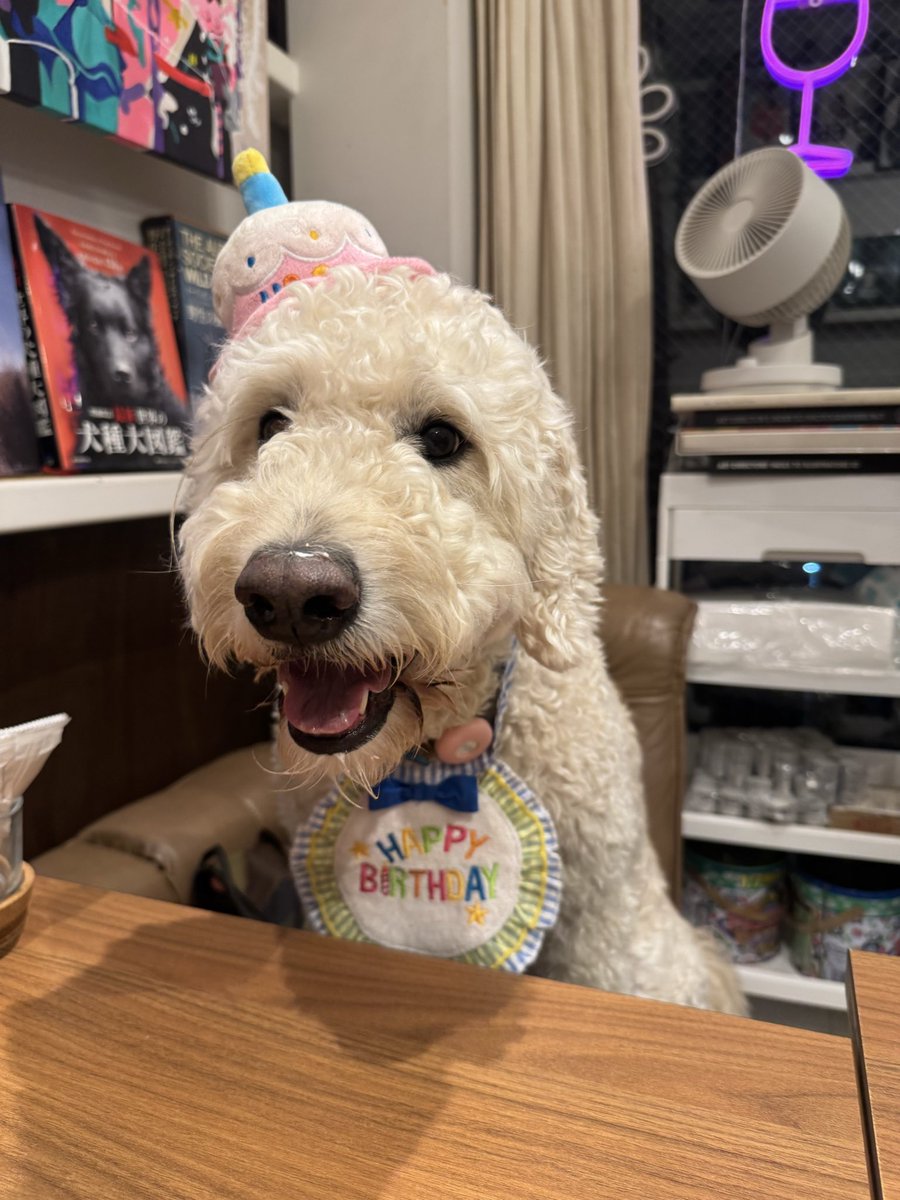 Emma_goldendoo's tweet photo. 6さいに　なったよ🎂 https://t.co/HHpAIi5HZA