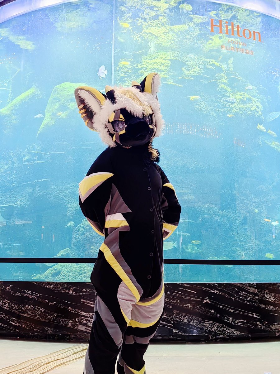 Kitami_2000's tweet photo. #FursuitFriday
啪的一下站的筆直端正 https://t.co/I1kUq3Qap5
