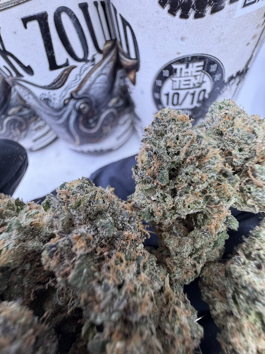 smacktographer's tweet photo. Black Zquid by @thetenco_
10/10 smokes, one of the newest additions to the ten co lineup https://t.co/9x4I4rRLfq