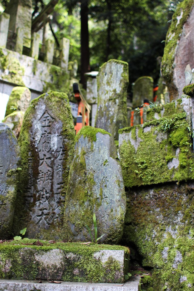 zoelrives's tweet photo. Algunas fotos que saqué en Fushimi Inari Taisha https://t.co/HYTtYISLy4