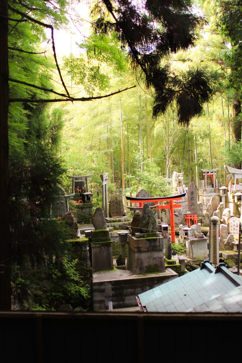 zoelrives's tweet photo. Algunas fotos que saqué en Fushimi Inari Taisha https://t.co/HYTtYISLy4