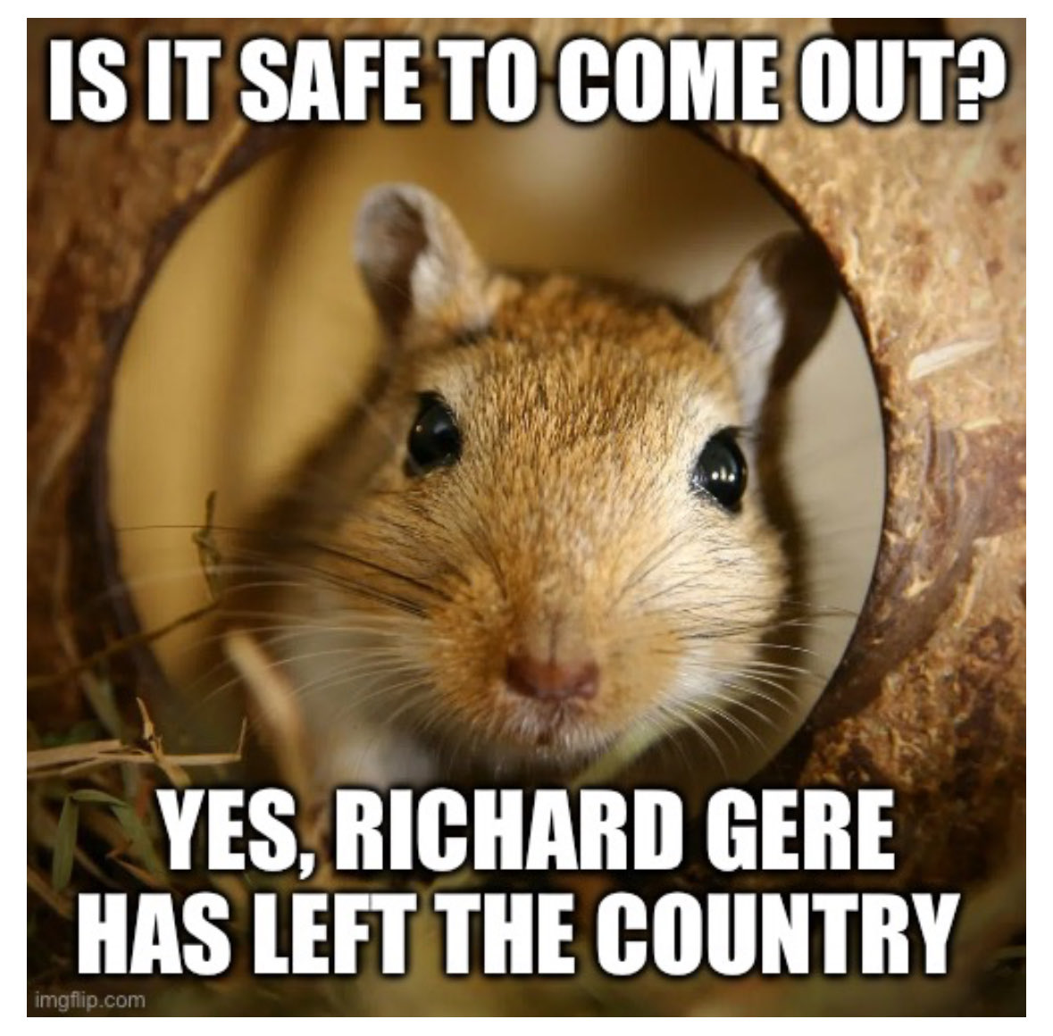 Rc3Pie's tweet photo. @CollinsforTX I wasn’t expecting to get any more use out of this meme. https://t.co/tNZn5Cn5IG