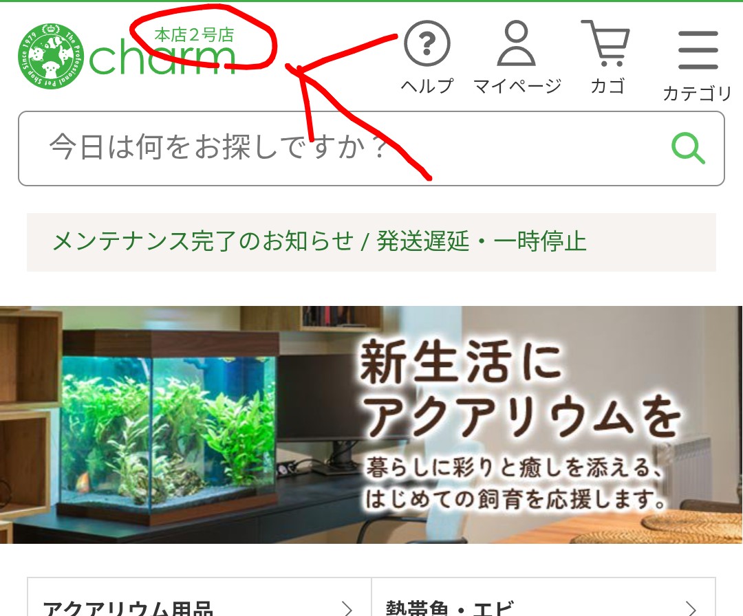 dime_twi's tweet photo. #チャーム 本店2号店
何か分裂してた
俺の理解→園芸用品が2号店で東京から発送なのかな
みゆきメダカを買おうと思ったら
2号店はセールで売って無かったし
品揃えが違うと思う
本店2号店って名前に突っ込みたい
2号店で売って無いメダカと園芸用品買いたかったから
両方で分裂して買った不便 https://t.co/HlLnHnoGnF
