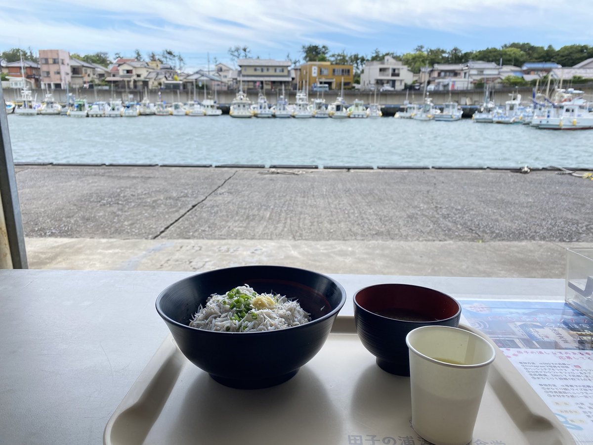 torron091's tweet photo. 漁港でシラス丼食べてきた https://t.co/WdSvUAxi1O