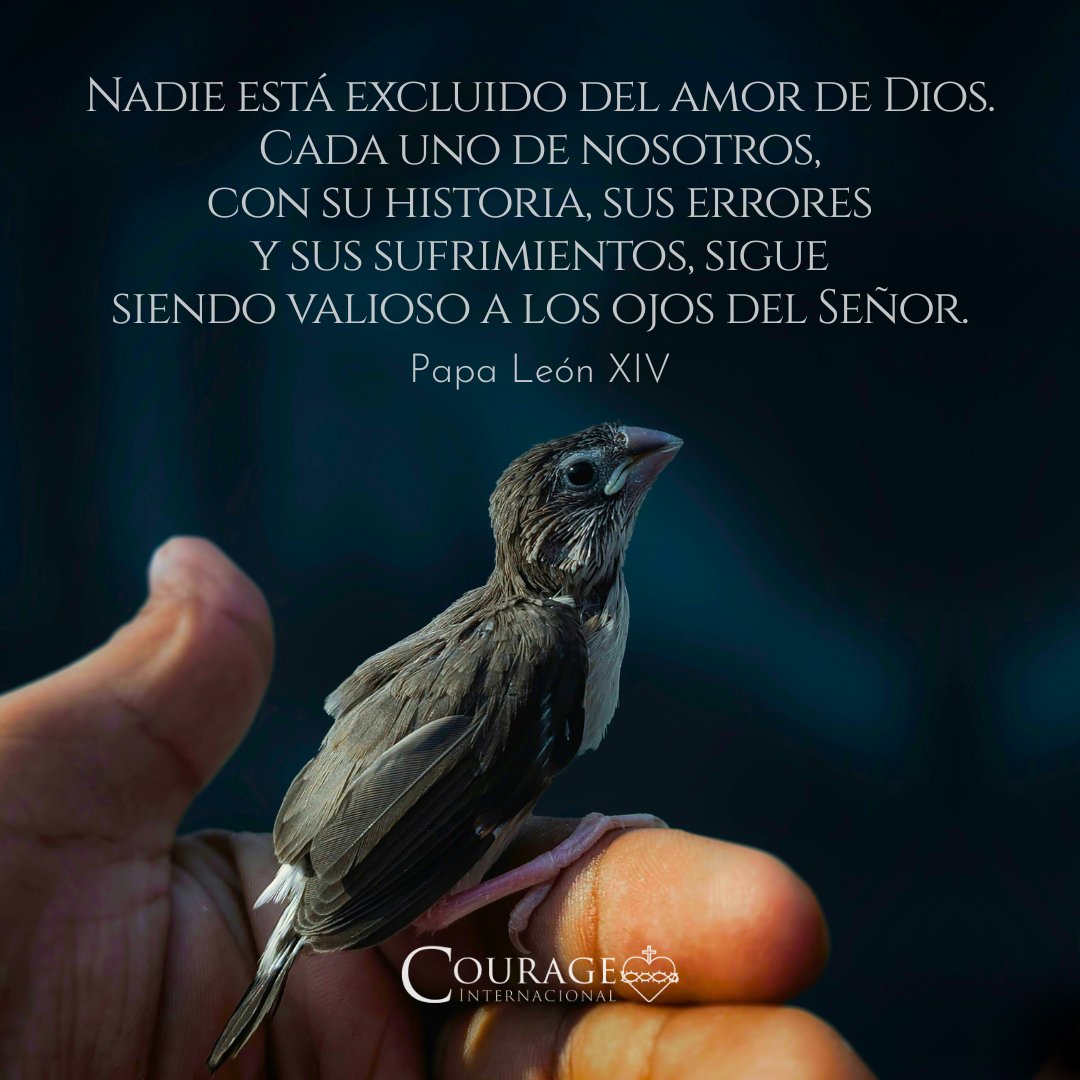 CourageEspanol's tweet photo. «Nadie está excluido del amor de Dios. Cada uno de nosotros, con su historia, sus errores y sus sufrimientos, sigue siendo valioso a los ojos del Señor. Jesús nos ha revelado esto en cada encuentro, en cada gesto y en cada palabra. Él nos amó hasta el extremo, demostrando que cree en la posibilidad de que el amor transforme incluso el corazón más endurecido».
—Papa León XIV