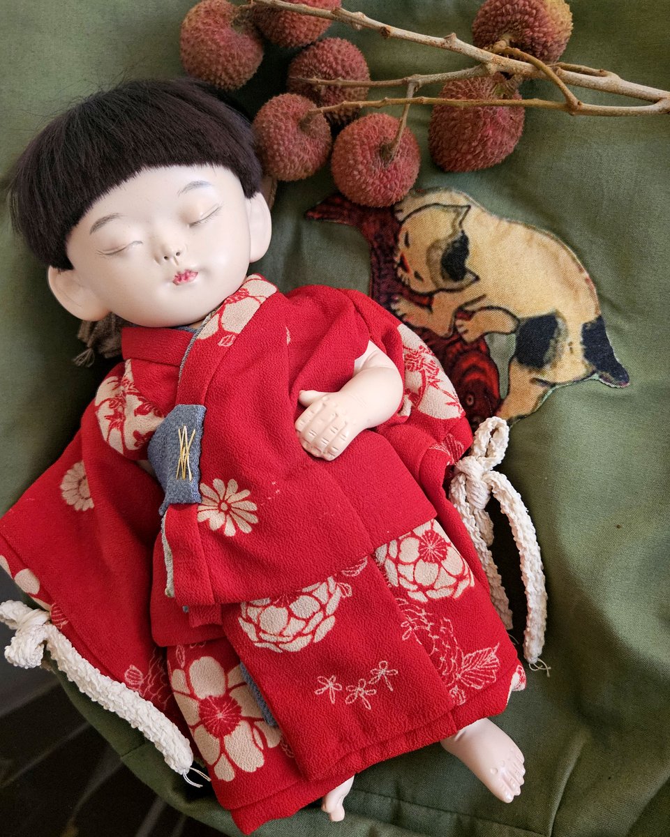 お人形の皆さんと、完熟フルーツを探して南の島へ🏝 驚くほど甘い