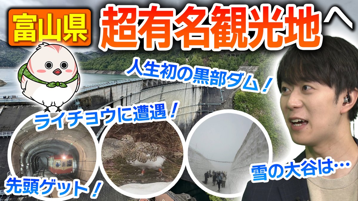 knb_chocomira's tweet photo. 【YouTube限定動画】立山室堂でライチョウに遭遇！らいちーのお母さん？お父さん？https://t.co/B9RsnKvRoa https://t.co/sBbpiNcDBS