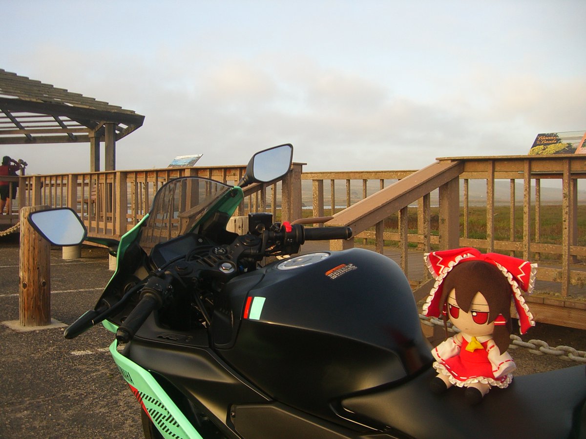 JetSlashed's tweet photo. Daily reimu day 355 https://t.co/GU4R6wejj9