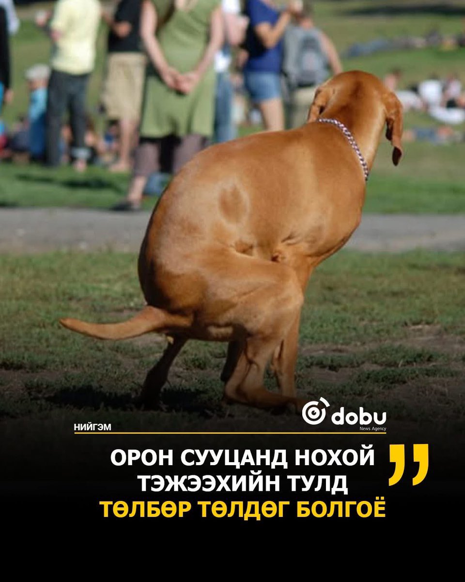 b_bayarbold's tweet photo. Энэ зөв гэж бодож байна. 

Гадны иргэд нохой нь хуцах, дуу чимээ гаргах үед нь чимээгүй, тайвшир гэсээр дуугүй болгоод байх шиг.

Харин манай зарим Монголчууд байраар нь сэртэл хуцуулж, гаслуулаад, гадна хүүхдийн тогтоомын талбайд дураар нь гүйлгэж, бааж, шээлгүүлээд л байх юм https://t.co/4XX8tPtbL6