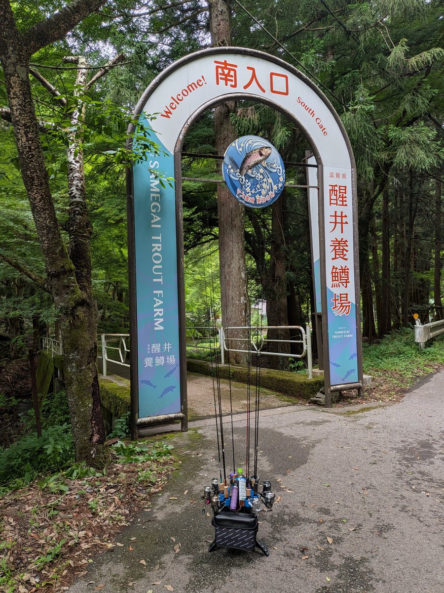 marimo250R's tweet photo. 今日はギリ遅刻で醒井！
サンク半日になりそうだったので方向変えました(笑) https://t.co/TKiGiMt09W