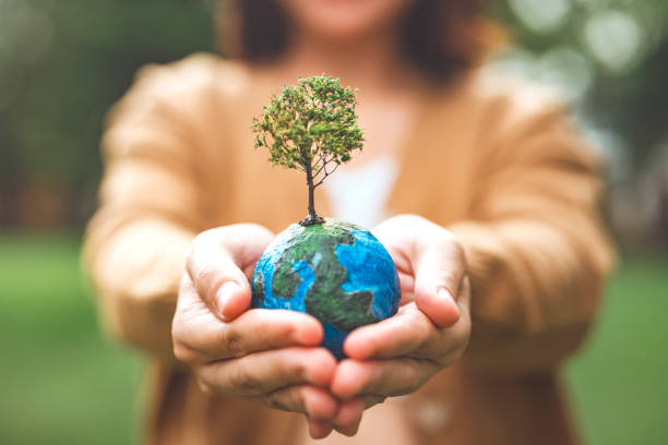 Mepriyayadav's tweet photo. Today, everyone will say "Save the Earth." 🌍
Tomorrow, many will litter streets, pollute rivers, and ignore trees being cut down.
The planet needs action, not just awareness.
"The greatest threat to our planet is the belief that someone else will save it." — Robert Swan
#Earth https://t.co/WT4TDRJoKs