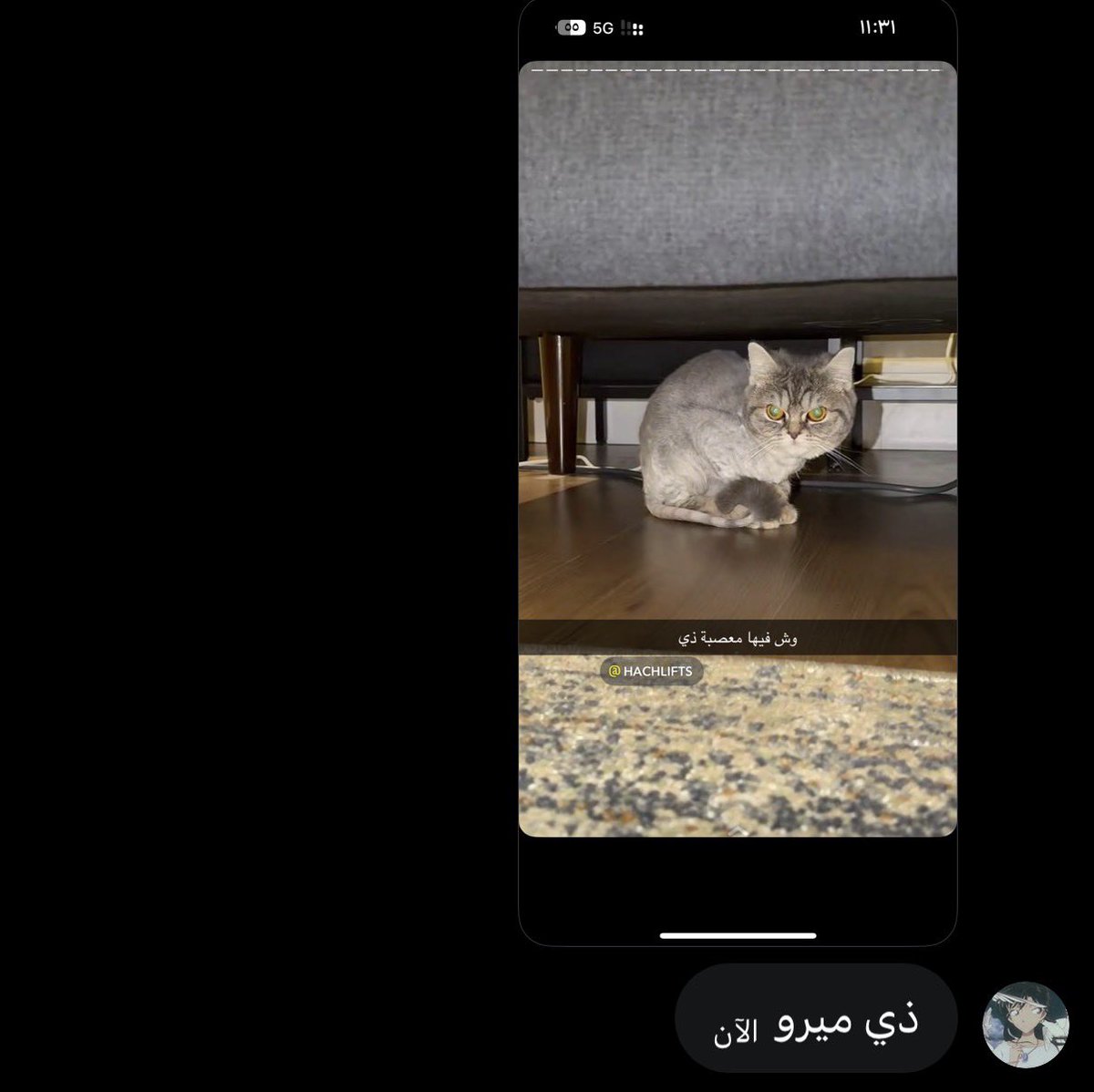 Miro tweet media