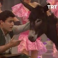 beehaber's tweet photo. Mahmut Tuncer, TRT’de eşeği yayına çıkardı anıyı anlattı:

🔹 “Eşeği programa çıkarmak için özel izin gerekiyormuş.”

🔹 “O izni de bizzat TRT Genel Müdürü veriyormuş.”

🔹 “Biz sanatçılar için müdür imza atıyor.”

🔹 “Ama eşek için genel müdür devreye giriyor.”

🔹 “Bir de bu özel bir hamar eşeğiymiş.”

🔹 “Eşek 250 bin TL aldı.”

🔹 “Biz ise 12 bin 500 TL aldık.”

🔹 “Türkiye’de sanatçının değeri ne diye sorunca bunu anlatıyorum.”

🔹 “Eşeğin o kadar aldığını bilsek biz eşek kılığına girerdik.”

(Mayıs 2024)
