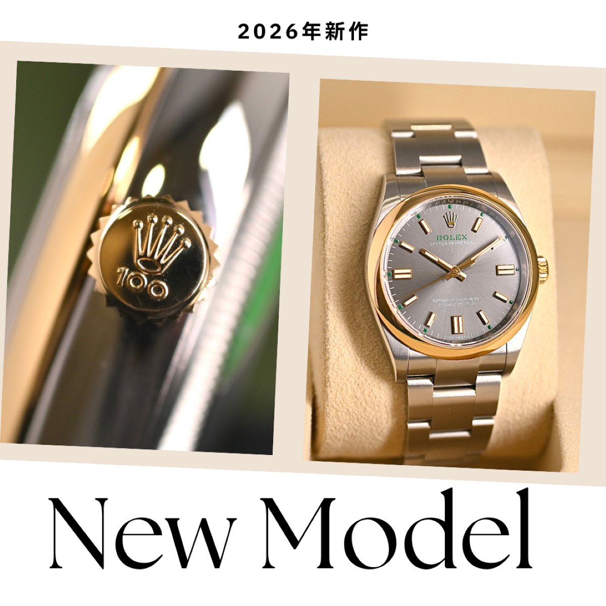OYSTERPERPETUAL36 Ref.126003 2026年の新作でオイスター100周年の記念