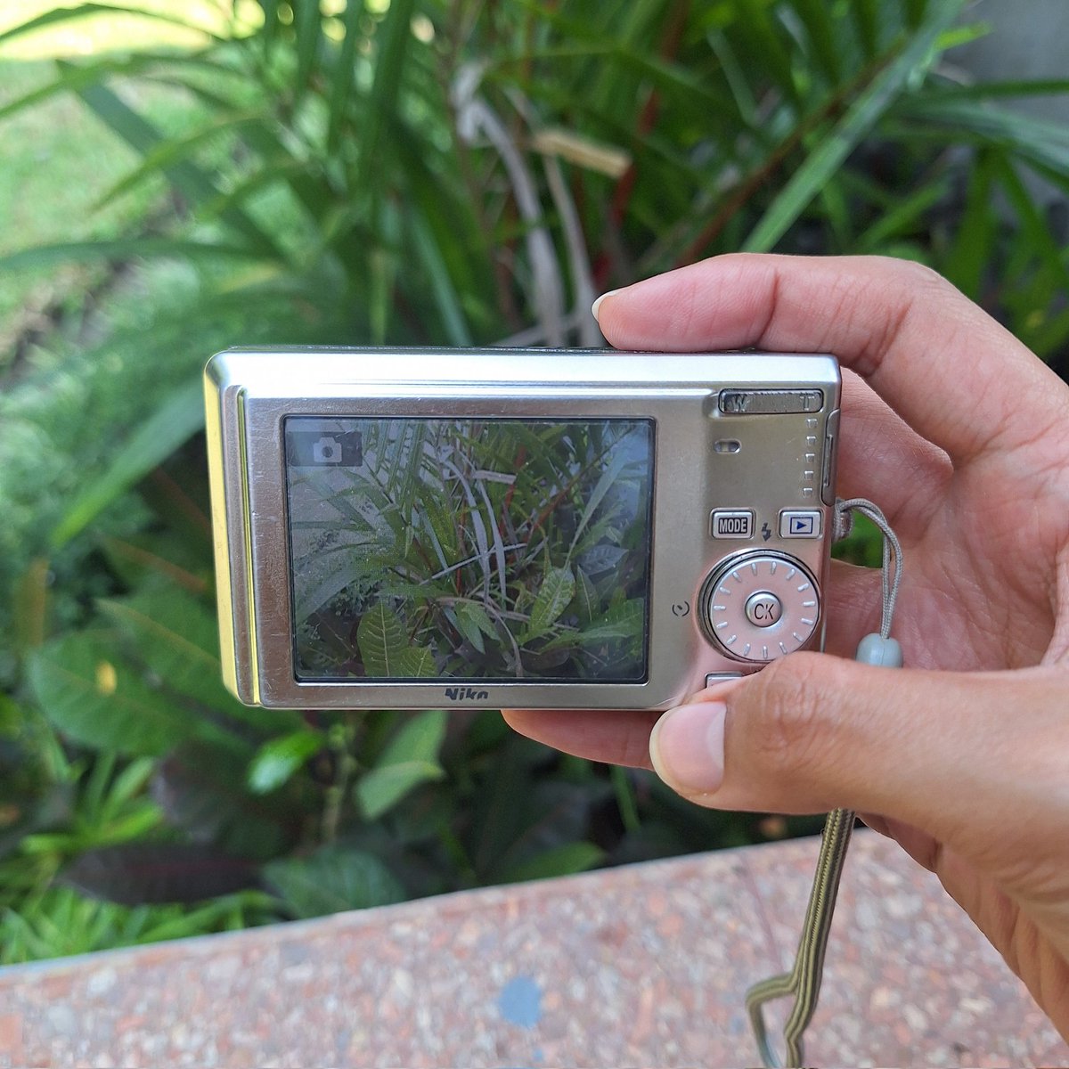 CleeMade's tweet photo. Wts digicam Nikon Coolpix S510
- Fisik judge by pics
- zoom in/out lancar, flash on 
💸 970k
bisa req by🍊
dom malang, jatim 

t. wtb wts kamera digicam canon ixus sony nikon fujifilm kodak samsung casio
#wts #wtb #zonauangㅤ https://t.co/GE99RdZflm