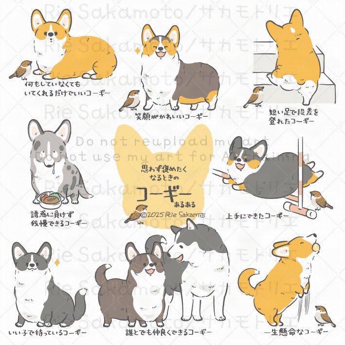 一日遅れですが #国際コーギーデー のコーギーあるある 
