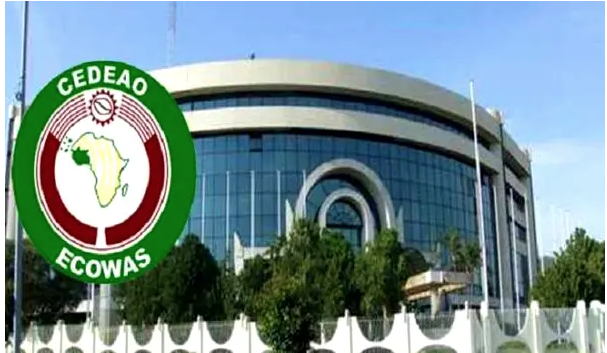 THISDAYLIVE's tweet photo. ECOWAS Targets Rice Independence by 2035 as West Africa Moves to End Multi-billion Dollar Import Dependence. Michael Olugbode in Abuja Determined to reverse decades of dependence on imported rice and strengthen food security across the sub-region,... https://t.co/rVOCMVDQWp https://t.co/YqbruiGmvV