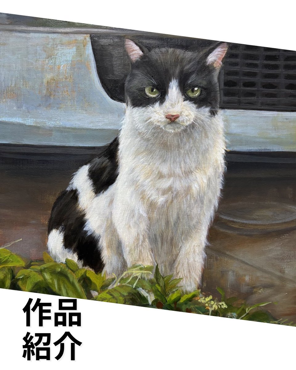 猫さんぽ展作品紹介🐈🐈‍⬛ 初めて猫と出会ったとき、 猫もまたこちら
