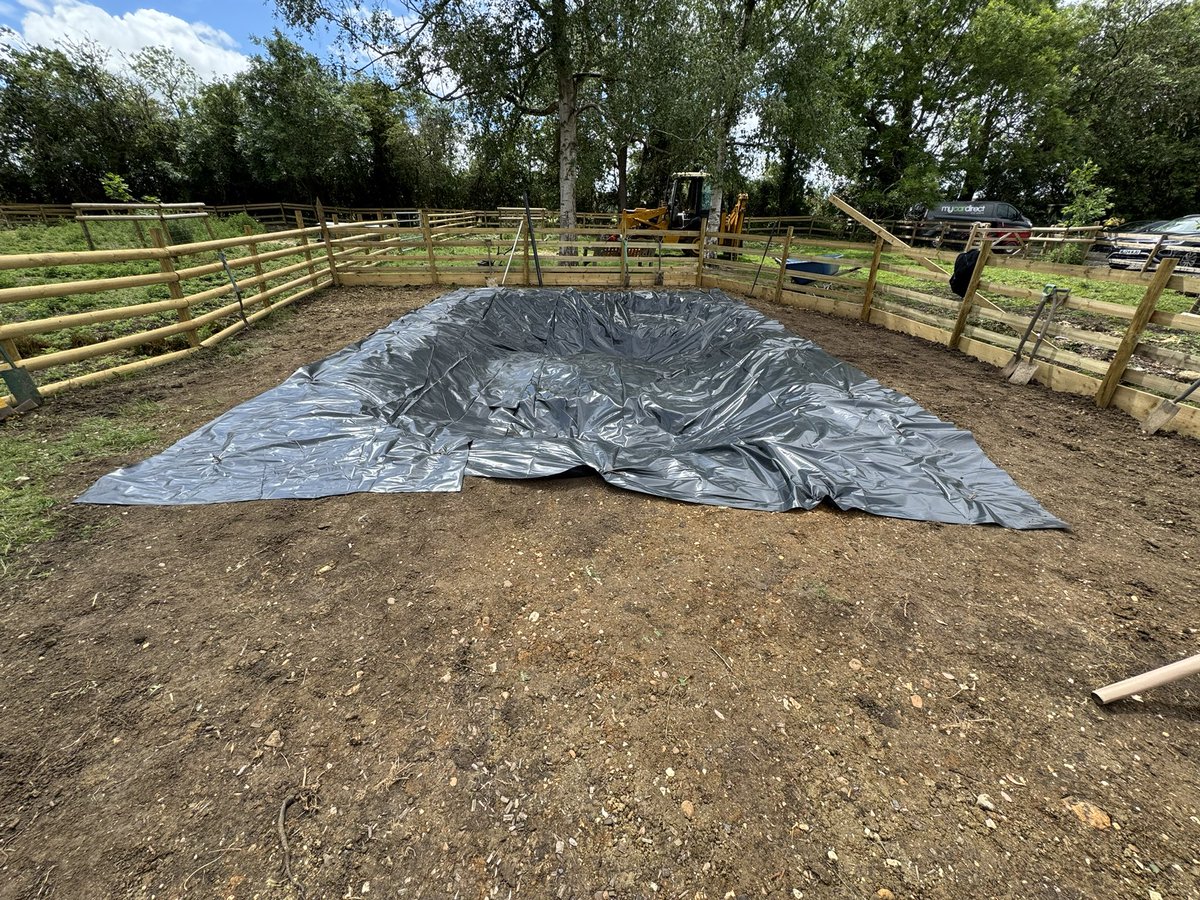 curlytailspigs's tweet photo. Brilliant day with Ben Murphy & his team from Cyncly continuing work on our aquatic garden. We tidied, smoothed & levelled the ground, laid a protective ground sheet ahead of underlay/pond liner + weed membrane around the outer edges. Thank you all-brilliant day βΊοΈππ» #Cyncly https://t.co/8DIjY0K8sN