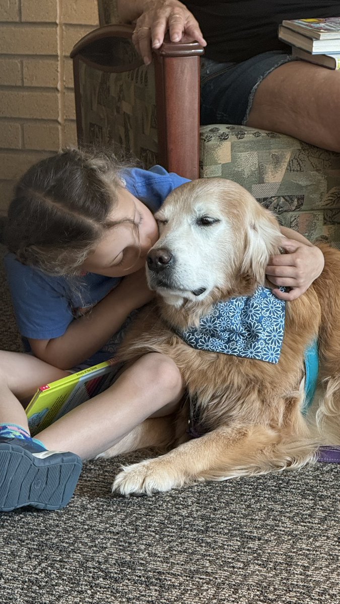 MikeFrezon's tweet photo. “Another great reading day at the library!  I heard stories about foxes and rabbits, tea parties and even worms!  And one little girl just hugged me tight her entire visit. Being a #TherapyDog is THE BEST!”
-Sophie

#BrooksHaven #GoldenRetriever #grc #dogcelebration #Hugs #love https://t.co/maHypRua21