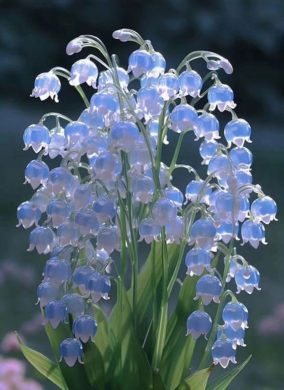 Hana_b30 tweet picture