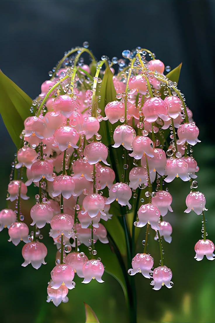 Hana_b30 tweet picture